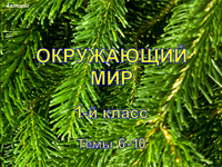 Окружающий мир, 1 класс, темы 6-10