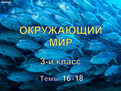 Окр.мир, 3 кл, темы 4-6