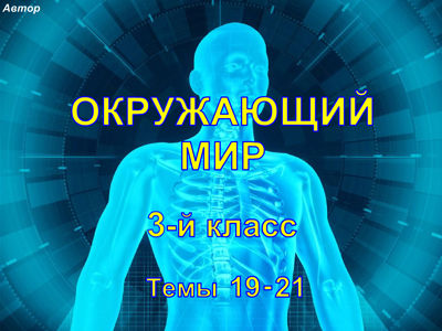 Окр.мир, 3 кл, темы 19-21